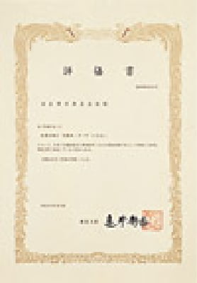 国土交通省評価書